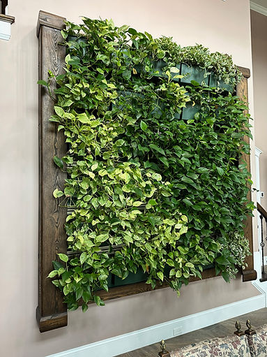 outdoor or indoor live vertical garden wall installation and design services Cedar Rapids, IA Iowa City, IA Waterloo, IA