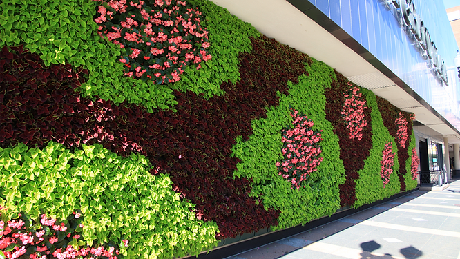 outdoor or indoor live vertical garden wall installation and design services Cedar Rapids, IA Iowa City, IA Waterloo, IA