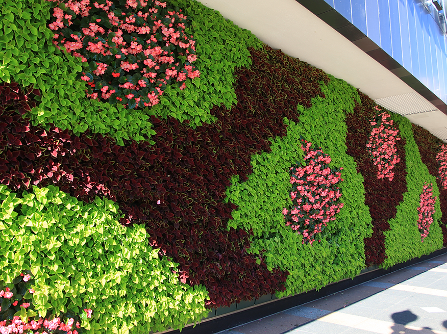 outdoor or indoor live vertical garden wall installation and design services Cedar Rapids, IA Iowa City, IA Waterloo, IA