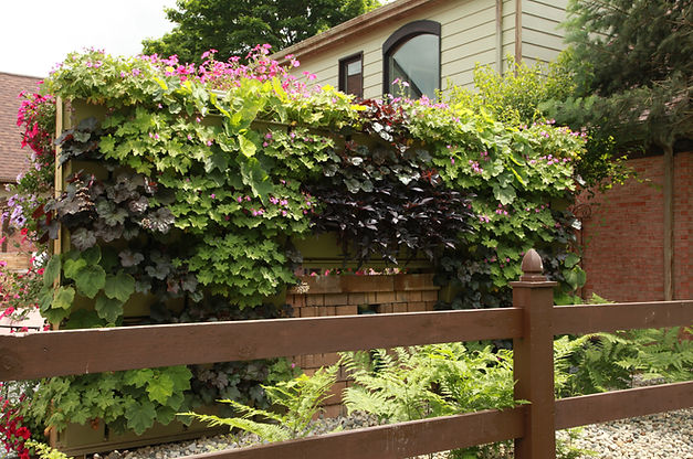 outdoor or indoor live vertical garden wall installation and design services Cedar Rapids, IA Iowa City, IA Waterloo, IA