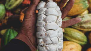 🌱 Soul Bakes May Newsletter The Cocoa Chronicles Part 6
