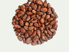 Cocoa beans on white background