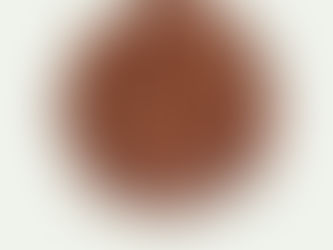 Cocoa beans on white background