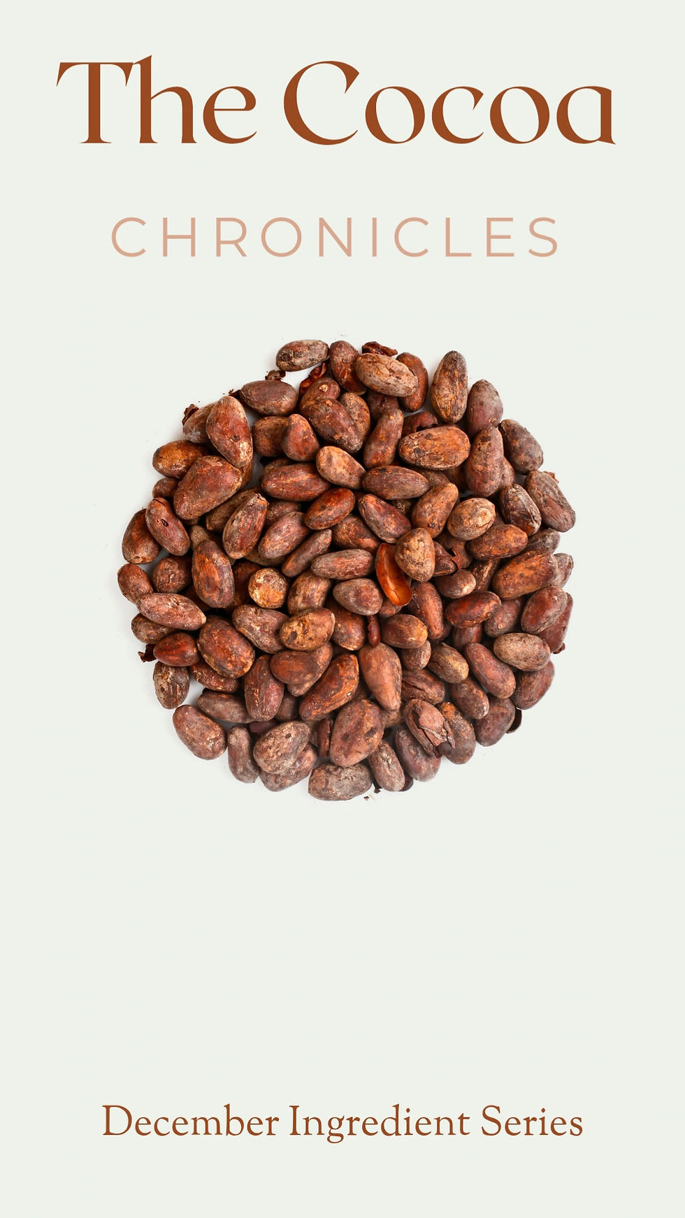 Cocoa Beans