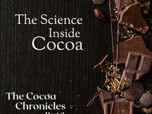 Broken pieces of different kinds of chocolate