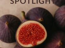 September Ingredient Spotlight Banner
