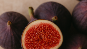 September Ingredient Spotlight Banner