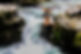 936498_10151813699181424_1111245698_n.jp