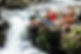 La Fortuna (42 of 45) (1).jpg