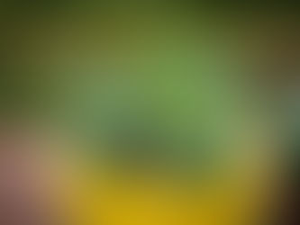 God Bless Our Broccoli