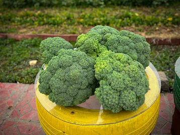 God Bless Our Broccoli