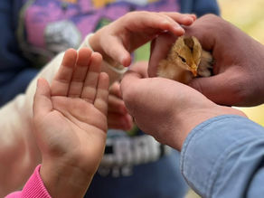 A Brief Word this Week