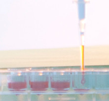 Experiment Lab