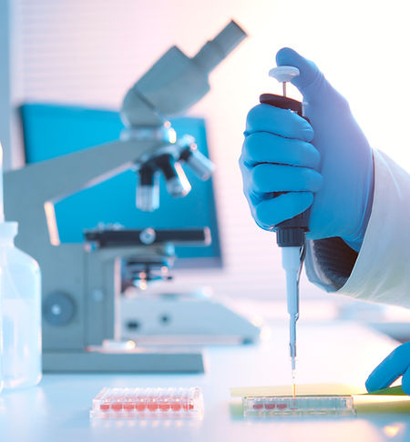 Mikroskopische Untersuchung im Labor – steht für Darmflora-Analyse, Stuhldiagnostik und Mikrobiom-Bewertung.