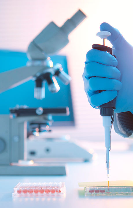 Lab Experiment