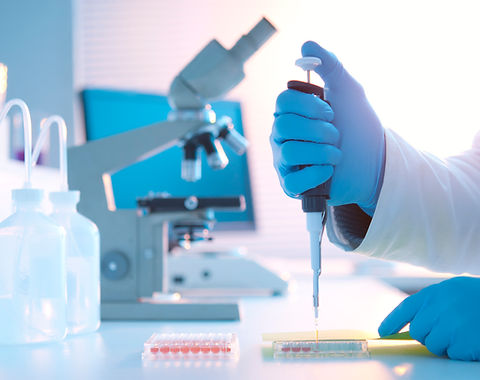 Lab Experiment