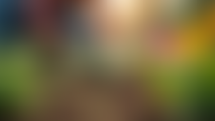 Voluntariado: Faça a Diferença com a IDEIA