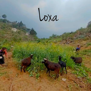 LOXA