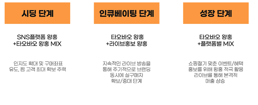 단계별-왕홍-마케팅-활용법.png