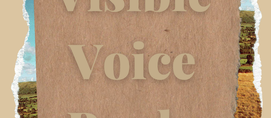 Local Bookshop Tours: Visible Voices