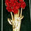Thumbnail: Designer by provenance, brooch, roses motif, red, gold tone, 2 3/8 inches.