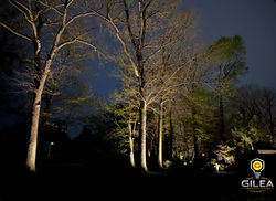 IMG_0549 2