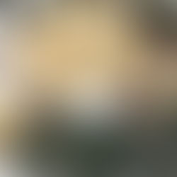 Vanilla puding keksi