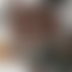 Cokoladni husarski kolacici