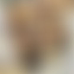 Kakao keksi sa bademima