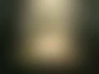 La sabiduría de D-ios