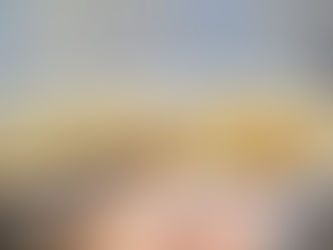 Chicken Mayo Cheezies