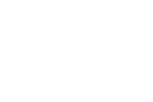SmartCitySignals (LR)_Logo White.png