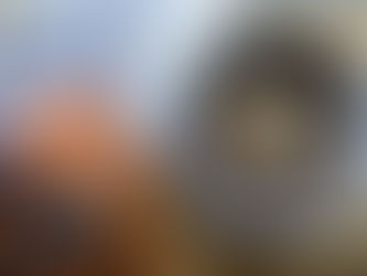 Chuckles Shortcake Weetbix