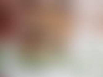 ULLTIMATE CHICKEN MAYO