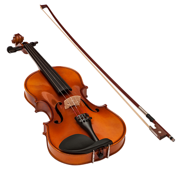 Violino