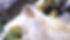 corte vertical.PNG