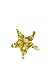 ezgif-1-01c0a442b377.gif