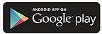 Google Download Icon.png