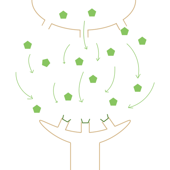 抗精神病藥物1.png