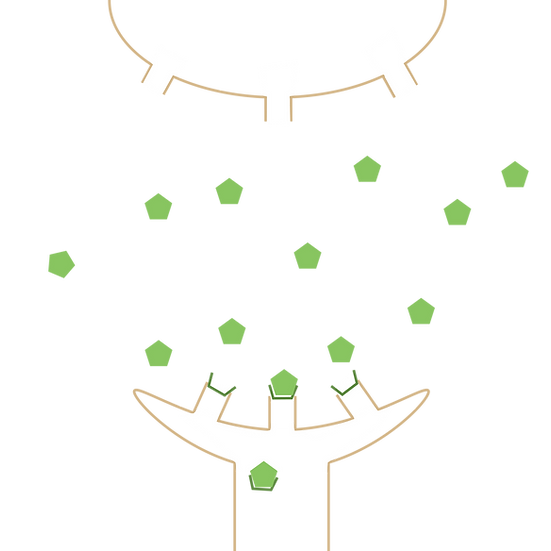 抗精神病藥物2.png