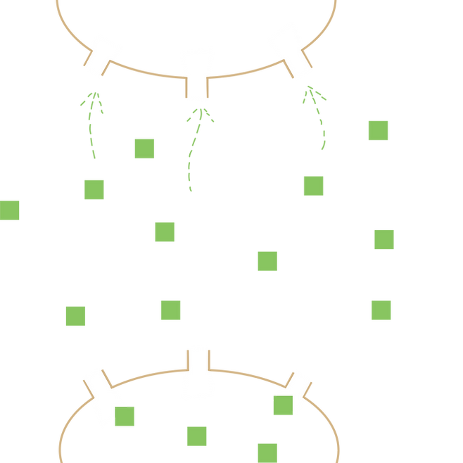 抗憂鬱症藥物2.png