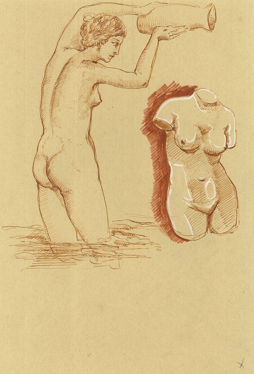 Disegno d'arte originale di Luca Ferraro N1, studio della figura femminile e del torso classico, inchiostro su carta del 2025