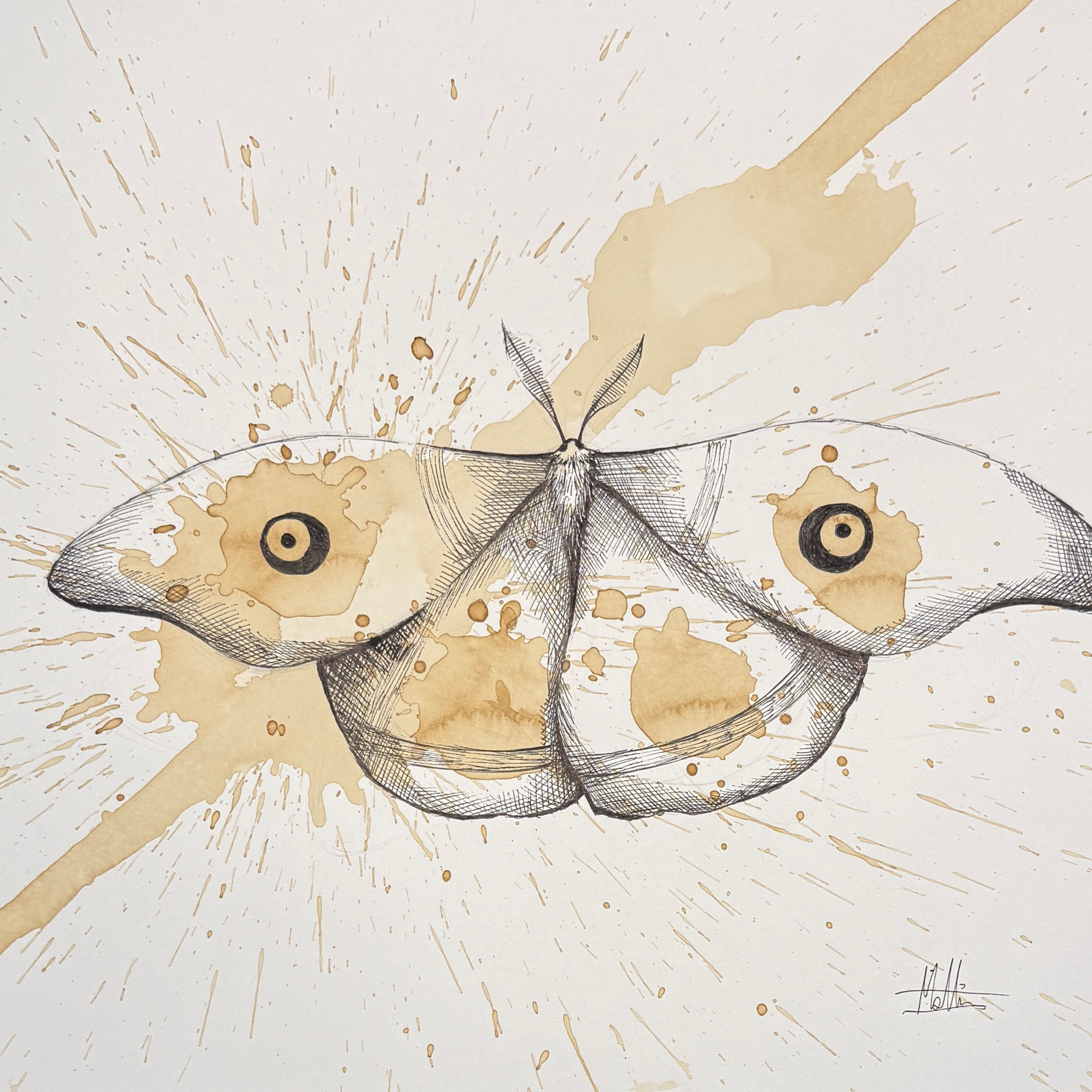 Mattia Curtopelle - Serie "Eternity"