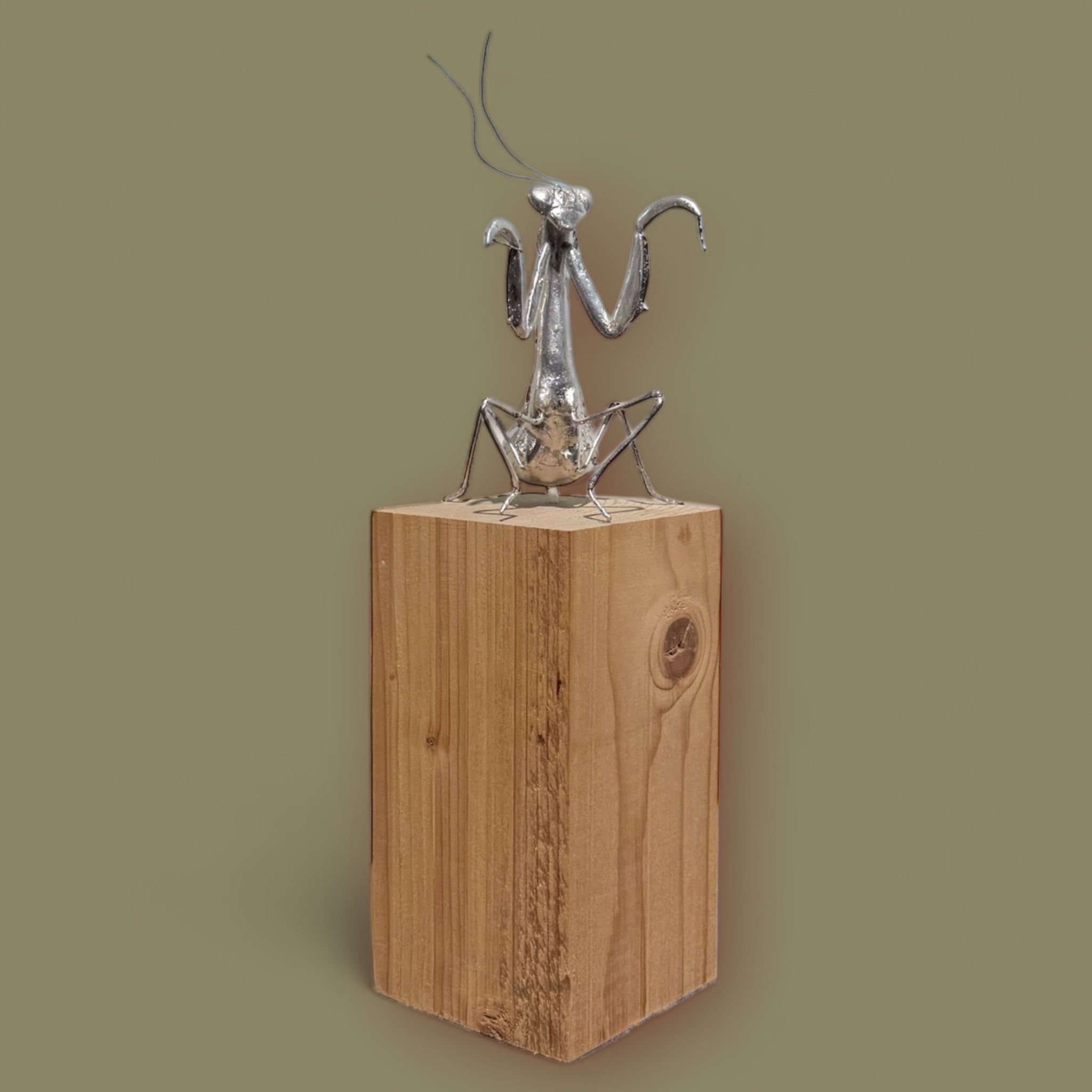 Dalila Belato - Insect 01 (mantide)