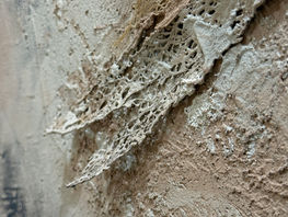 arte materica al casino delle muse