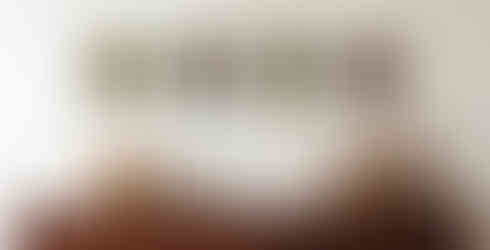 Minivision Melkio Galleria d'arte il Casino delle Muse