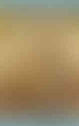 libro Vittorio Matteo Corcos