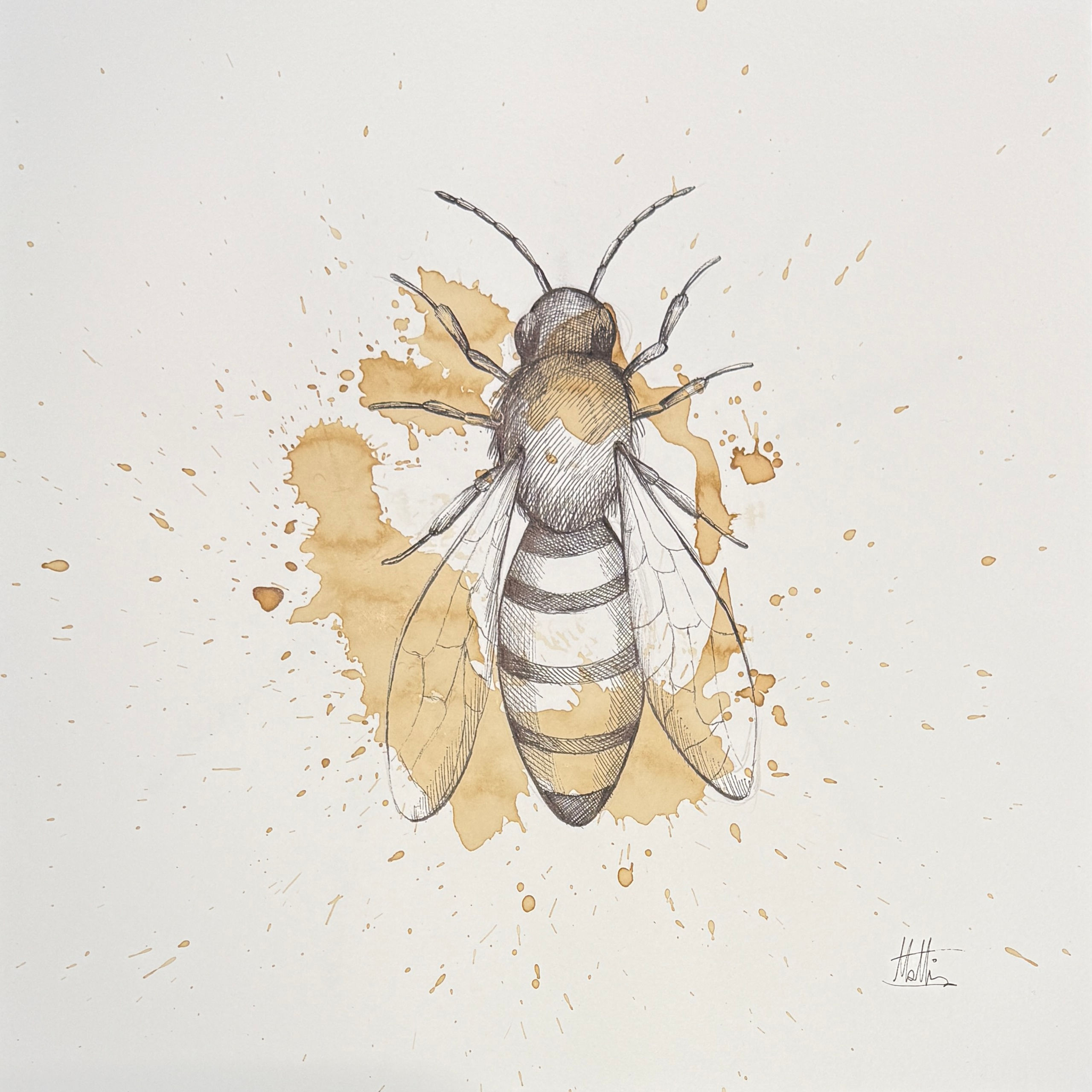 Mattia Curtopelle - Serie "Eternity"