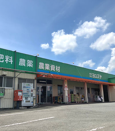 ヨロズヤの外観