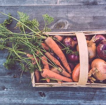 Basket of Organic Vegetables